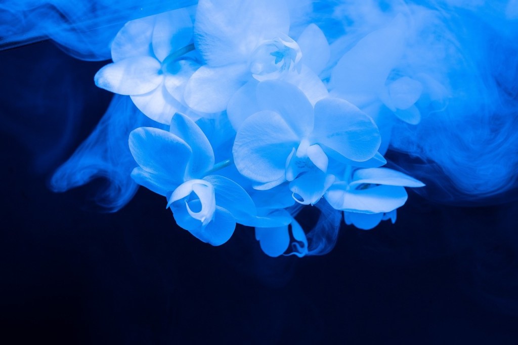 Drowning violet and blue flowers